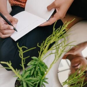 Seated in Awareness: A Path to Reclaiming Your Power